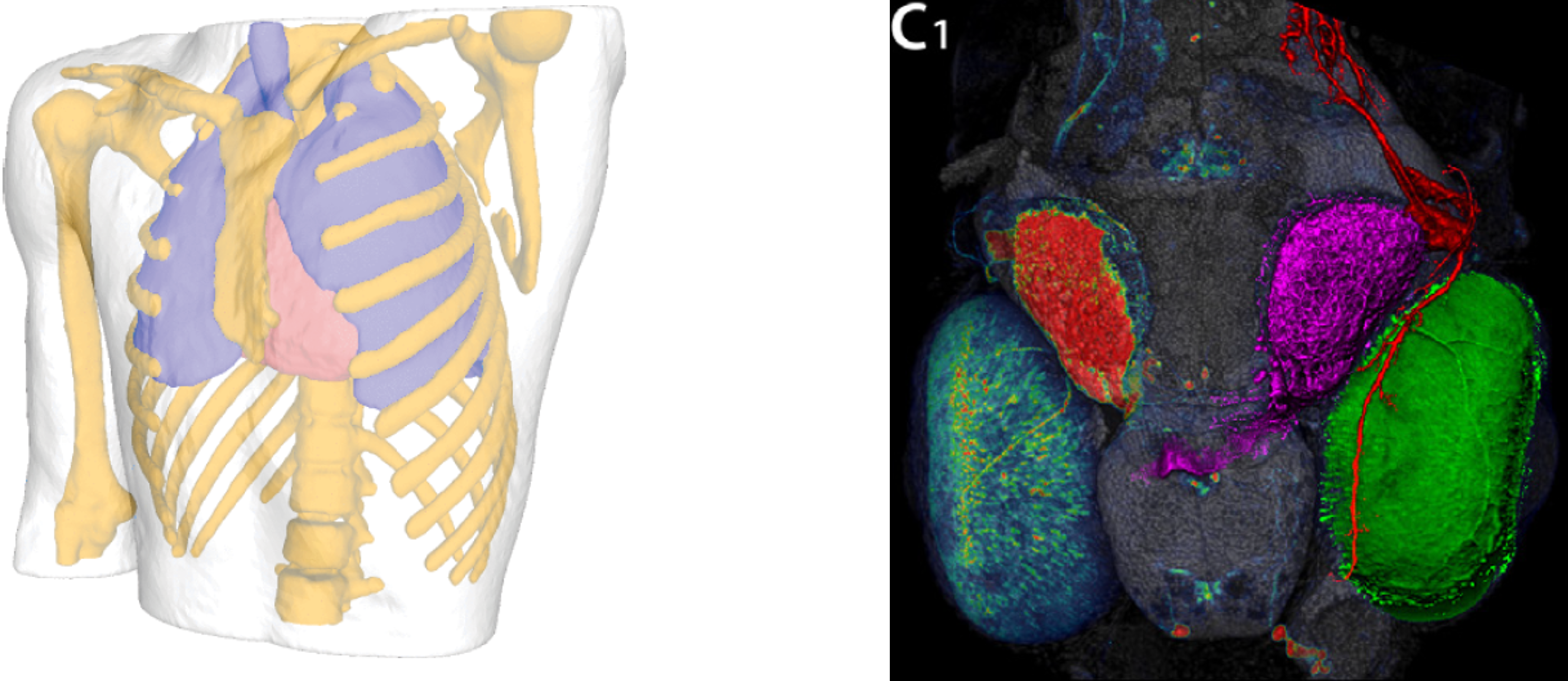 ../../_images/visualization-scientific-vis_comparison.png